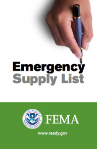 Fema Pix