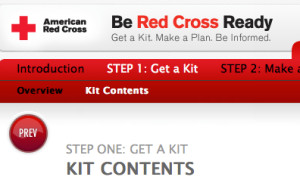 Red Cross Kit